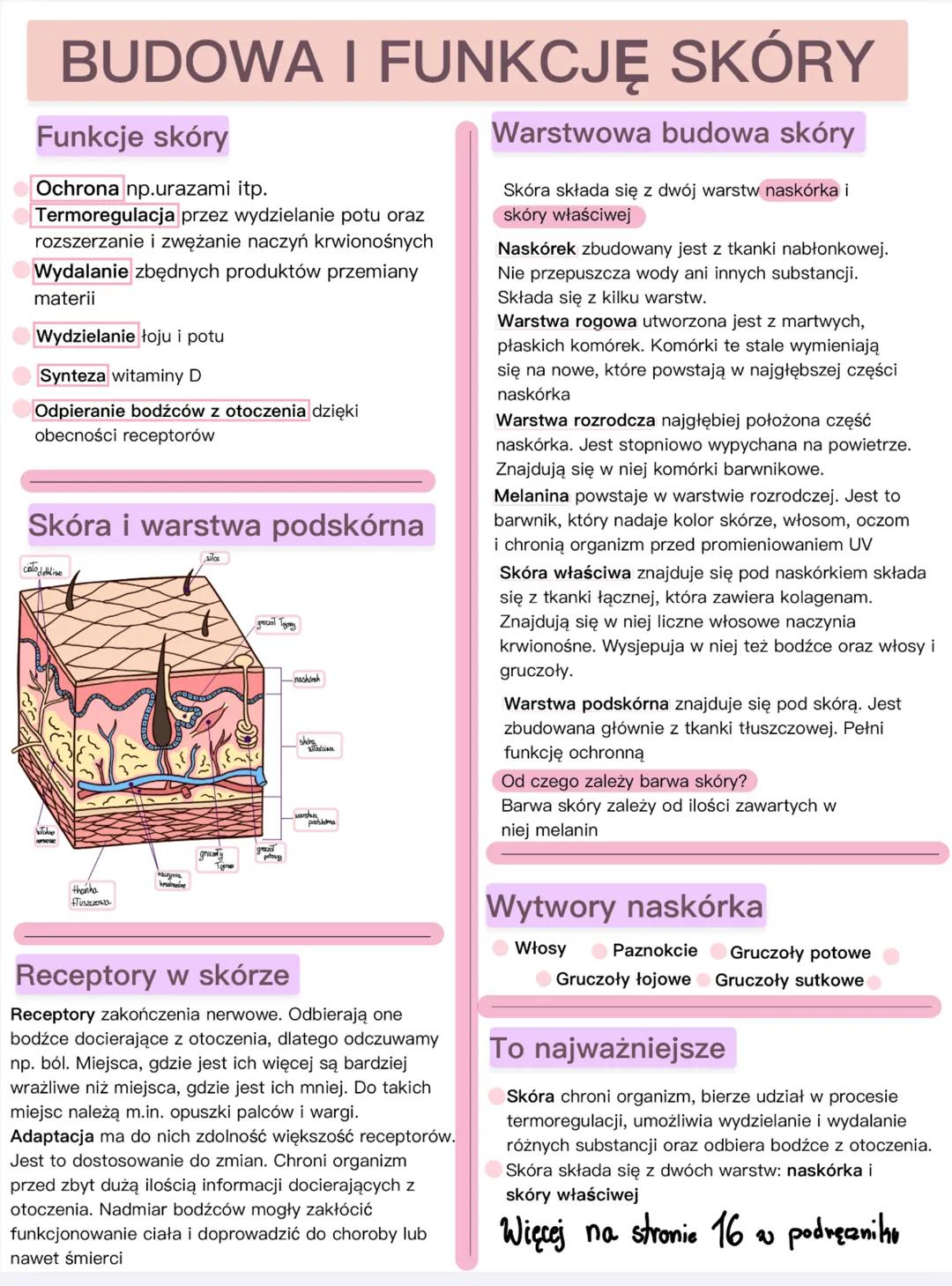 BUDOWA I FUNKCJĘ SKÓRY
Funkcje skóry
Ochrona np.urazami itp.
Termoregulacja przez wydzielanie potu oraz
rozszerzanie i zwężanie naczyń krwio