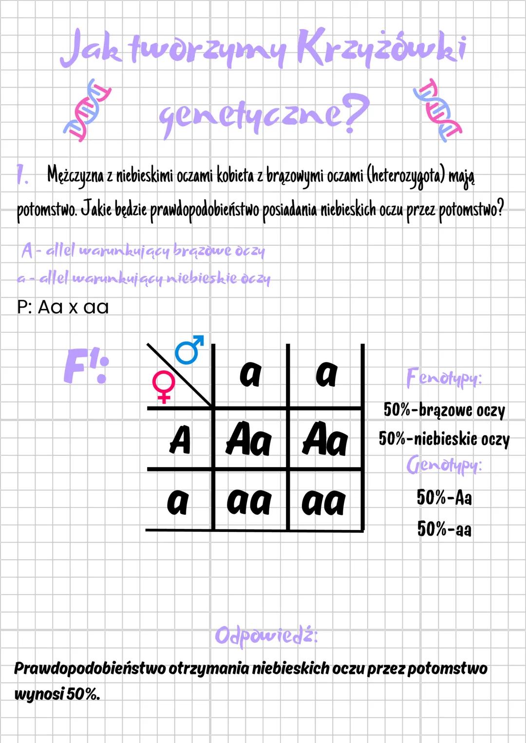 # Jak tworzymy
# Krzyżówki
genetyczne?罾
1. Mężczyzna z niebieskimi oczami kobieta z brązowymi oczami (heterozygota) mają
potomstwo. Jakie