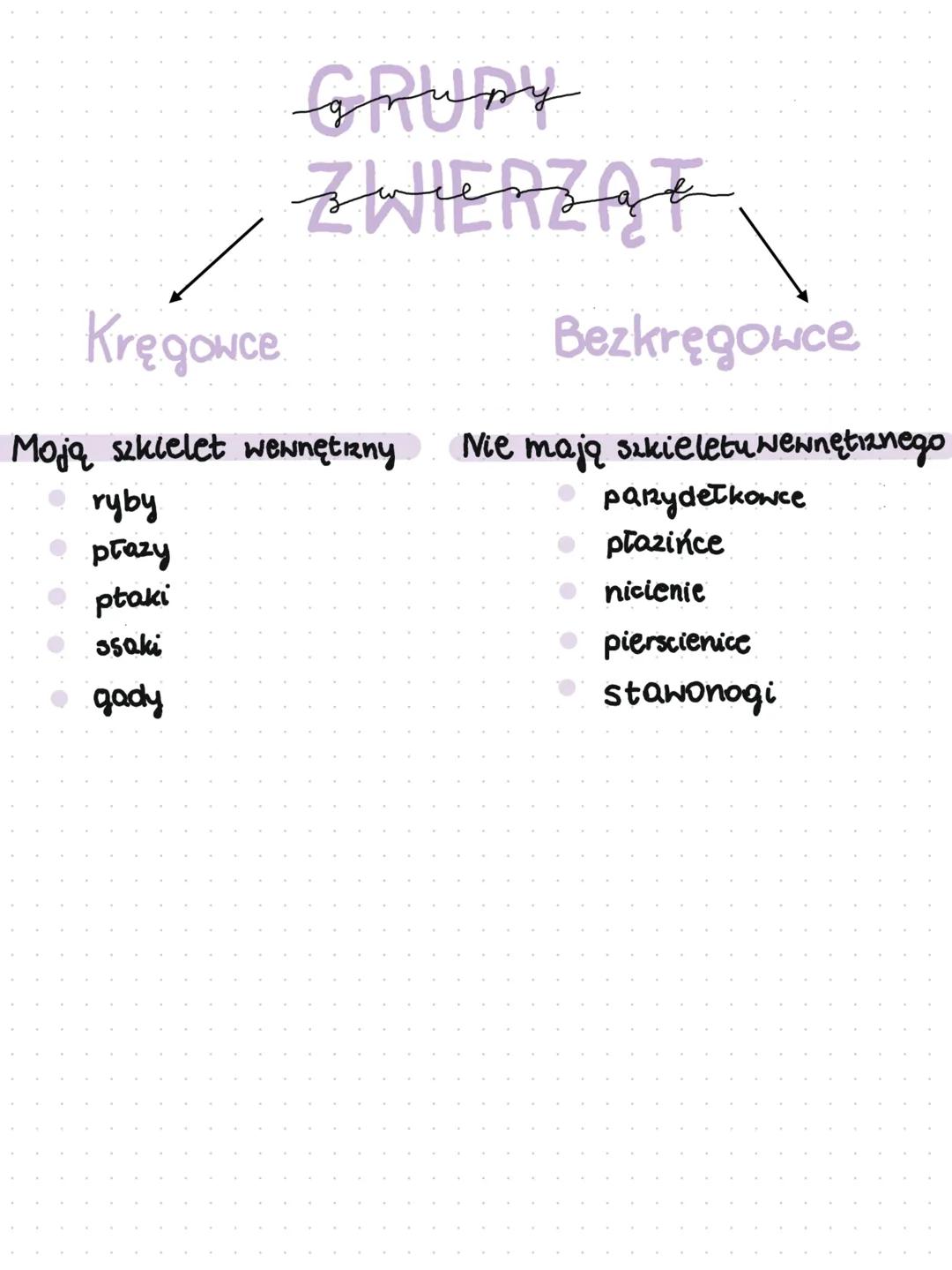 grupy
zwierząt
Kręgowce
Bezkręgowce
Moją szkielet wewnętrzny
Nie mają szkieletu wewnętrznego
* ryby
* prazy
* ptaki
* ssaki
* ga