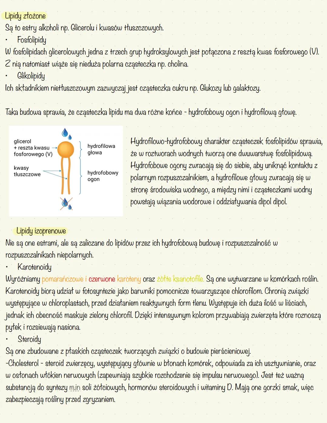 # Lipidy
stanowią główny składnik błon biologicznych wszystkich organizmów.
pełnią funkcję zapasową, a u zwierząt zapewniają też termoizol