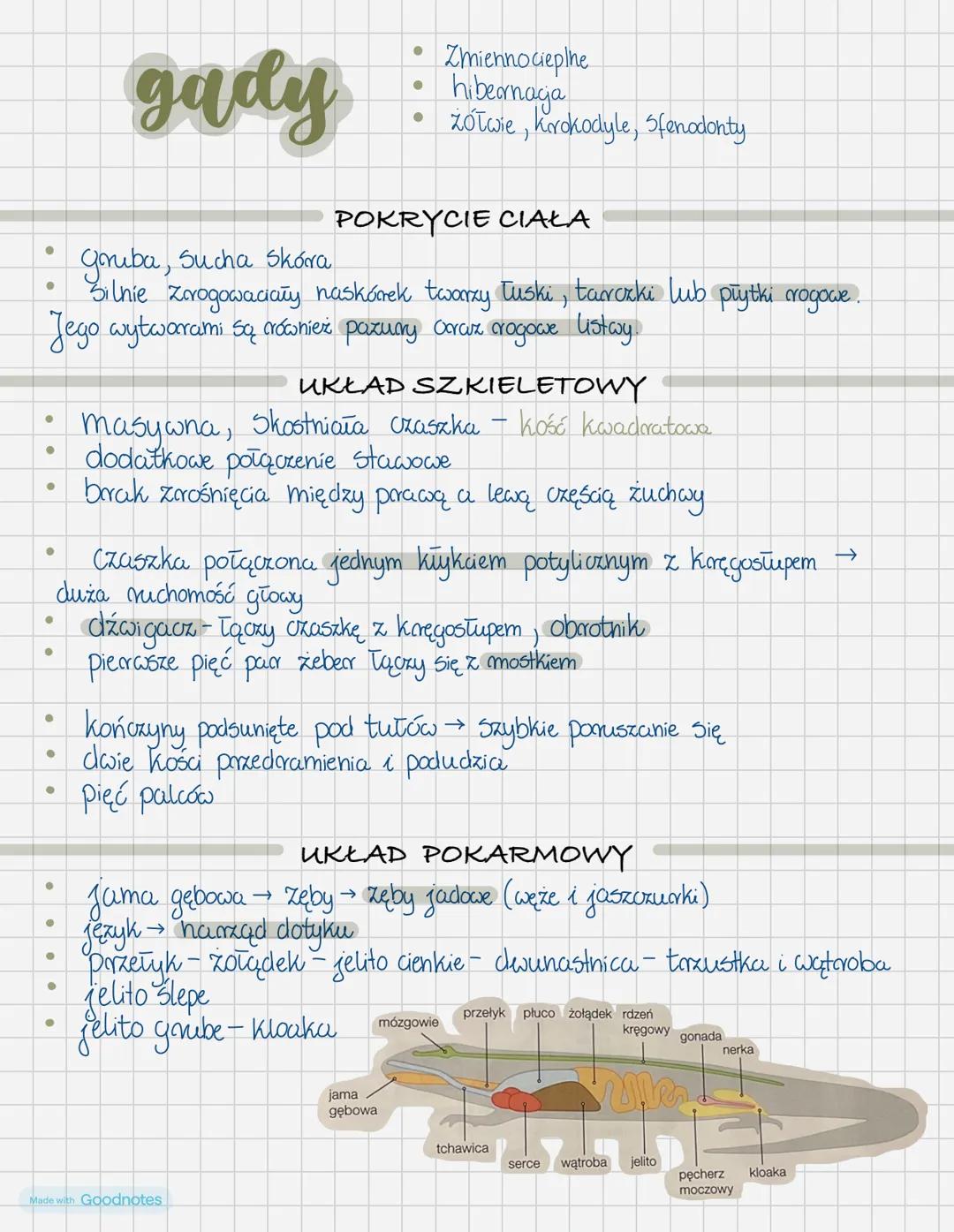 # gady
* Zmiennocieplne
* hibernacja
* Żółwie, Krokodyle, Sfenodonty
## POKRYCIE CIAŁA
* Griba, Sucha Skóra
* Silnie zrogowacia