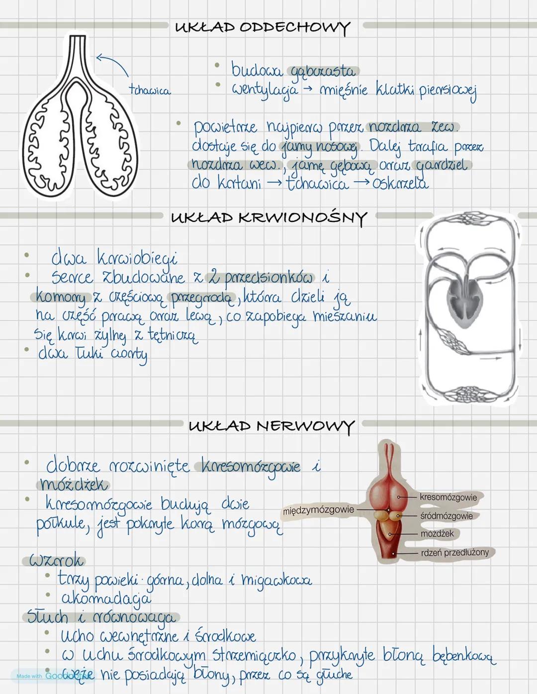 # gady
* Zmiennocieplne
* hibernacja
* Żółwie, Krokodyle, Sfenodonty
## POKRYCIE CIAŁA
* Griba, Sucha Skóra
* Silnie zrogowacia