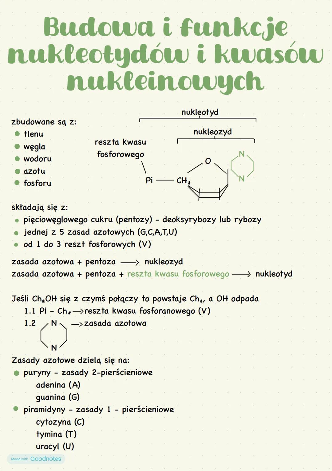 Budowa i funkcje nukleotydów i kwasów nukleinowych