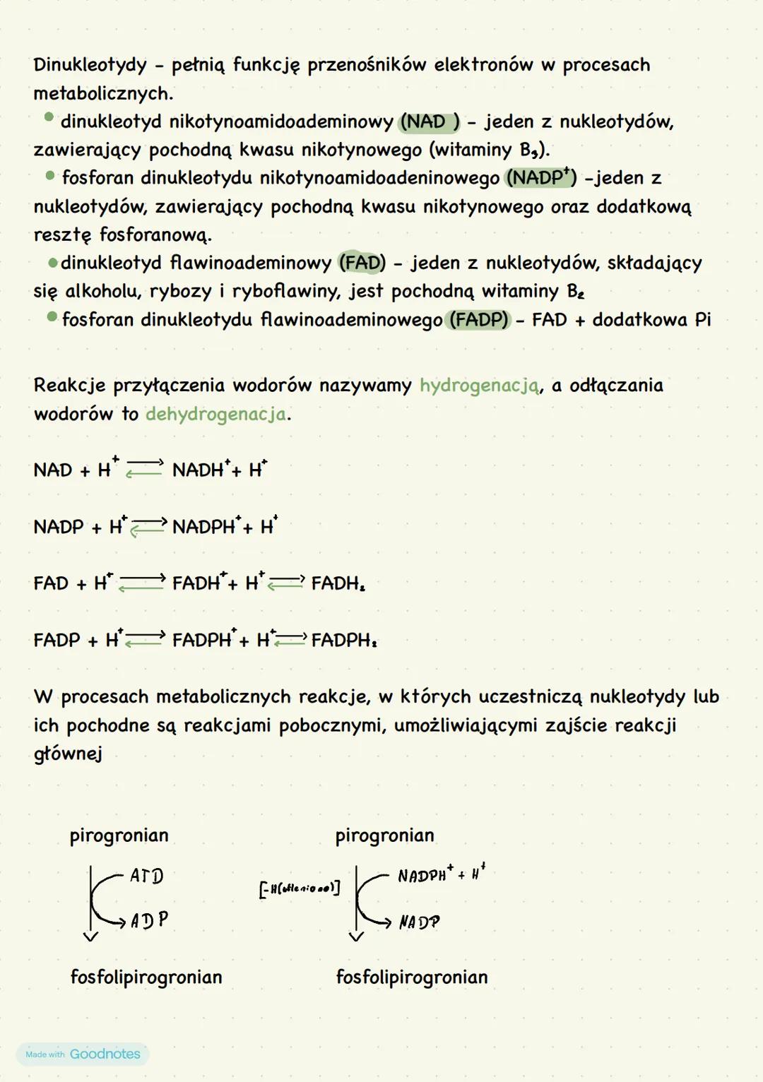 # Budowa i funkcje
nukleotydów i kwasów
nukleinowych
zbudowane są z:
- tlenu
- węgla
- wodoru
- azotu
- fosforu
nukleotyd
nukleozyd
resz