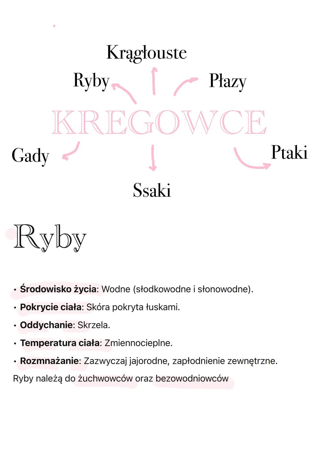 # KREGOWCE
Cechy
1. Kręgosłup - Kręgowce posiadają kręgosłup, który składa się z
kręgów i chroni rdzeń kręgowy. To cecha wyróżniająca krę