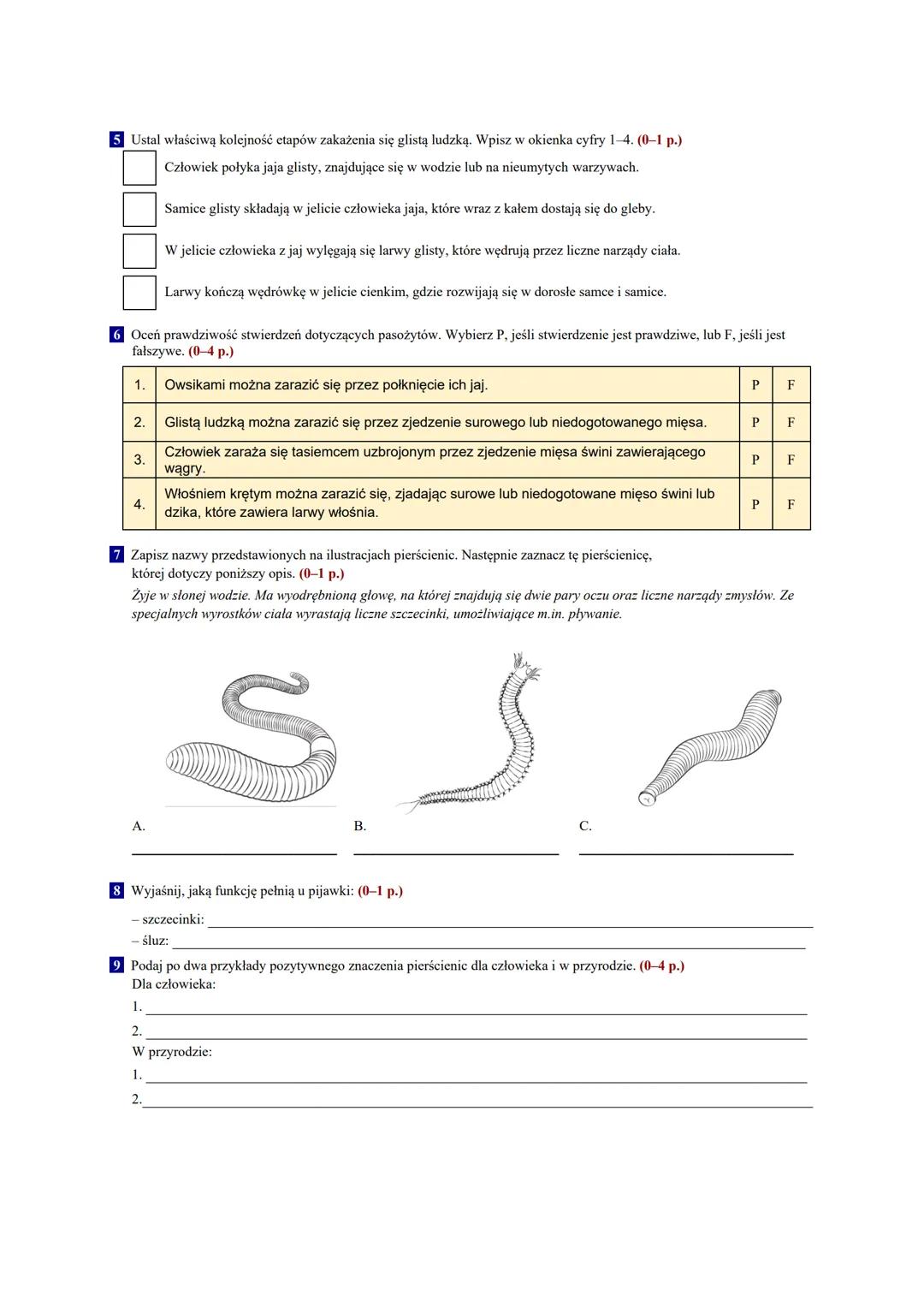 # Od parzydełkowców
do pierścienic
Test sprawdzający - rozdział II
Grupa A
1 Ilustracja przedstawia przekrój ciała stułbi płowej. (0-3 p.