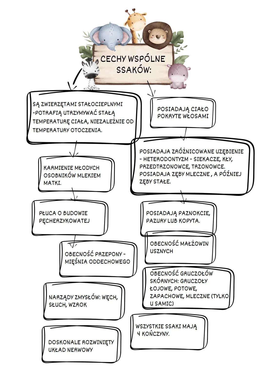 SSAKI
ŚRODOWISKO
ZYCIA:
//
ZAMIESZKUJĄ NIEMAL KAŻDE ŚRODOWISKO
NA ZIEMI:
- OBSZARY PODBIEGUNOWE- NIEDŹWIEDZIE
POLARNE
- OCEANY I MORZA- W