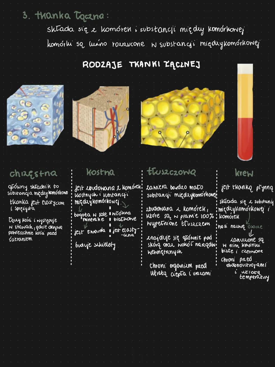 # rodzaje tkanek
1. thanka nabłonkowa:
* zbudowana z komórek, które śaśle do siebie prylegają
* są ułożone w jednej, kicku mb kilkuna