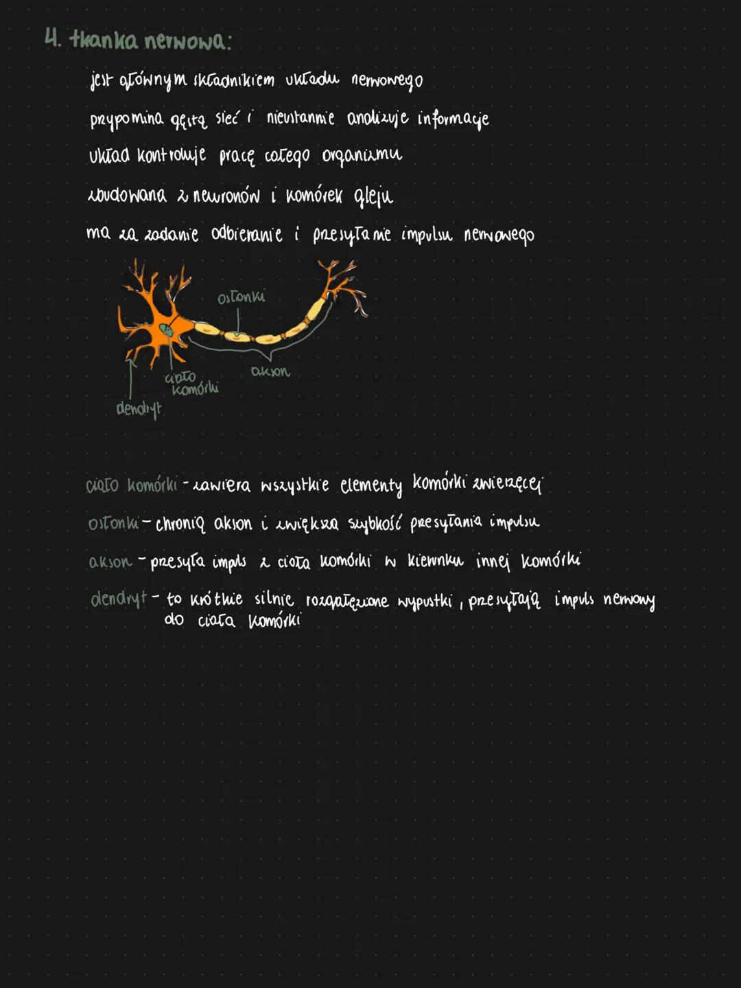 # rodzaje tkanek
1. thanka nabłonkowa:
* zbudowana z komórek, które śaśle do siebie prylegają
* są ułożone w jednej, kicku mb kilkuna
