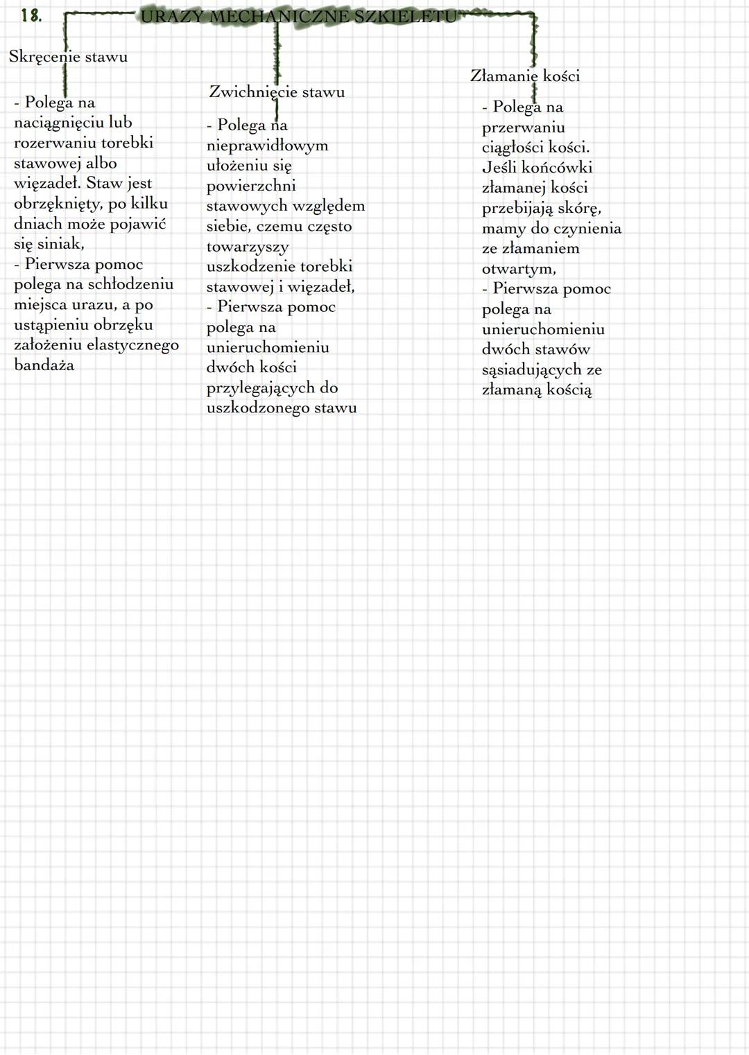 1. Układ szkieletowy funkcje -
- dźwiga ciężar całego ciała,
- nadaje organizmowi kształt,
- chroni narządy przed urazami,
wytwarza komórki