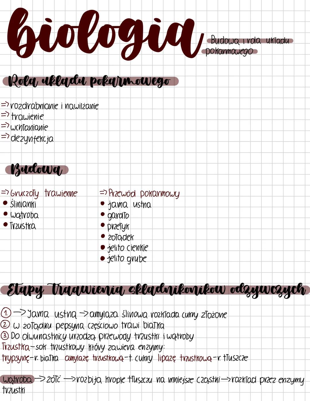 biologia
Rola akladu pokarmowego
=>rozdrabnianie i nawilżanie
=>trawienie
=>wchłanianie
=>dezynfekcja
Budowa
Gruczoły trawienne
Ślinianki
•