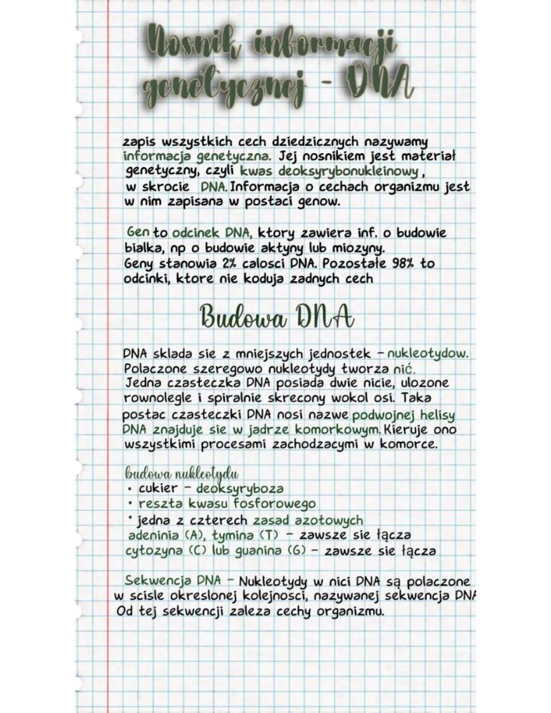Dosnil informacji
genetycznej - DNA
zapis wszystkich cech dziedzicznych nazywamy
informacja genetyczna. Jej nosnikiem jest materiał
genetycz