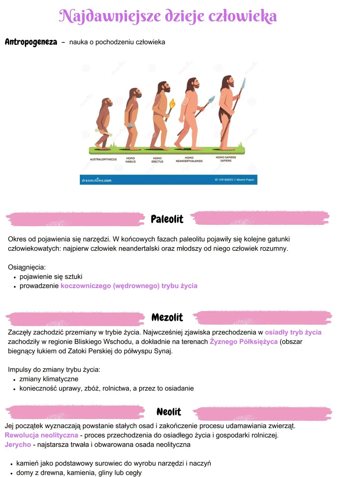 Najdawniejsze dzieje człowieka
Antropogeneza nauka o pochodzeniu człowieka
AUSTRALOPITHECUS
HOMO
HABILIS
HOMO
ERECTUS
HOMO
NEANDERTHALENSIS