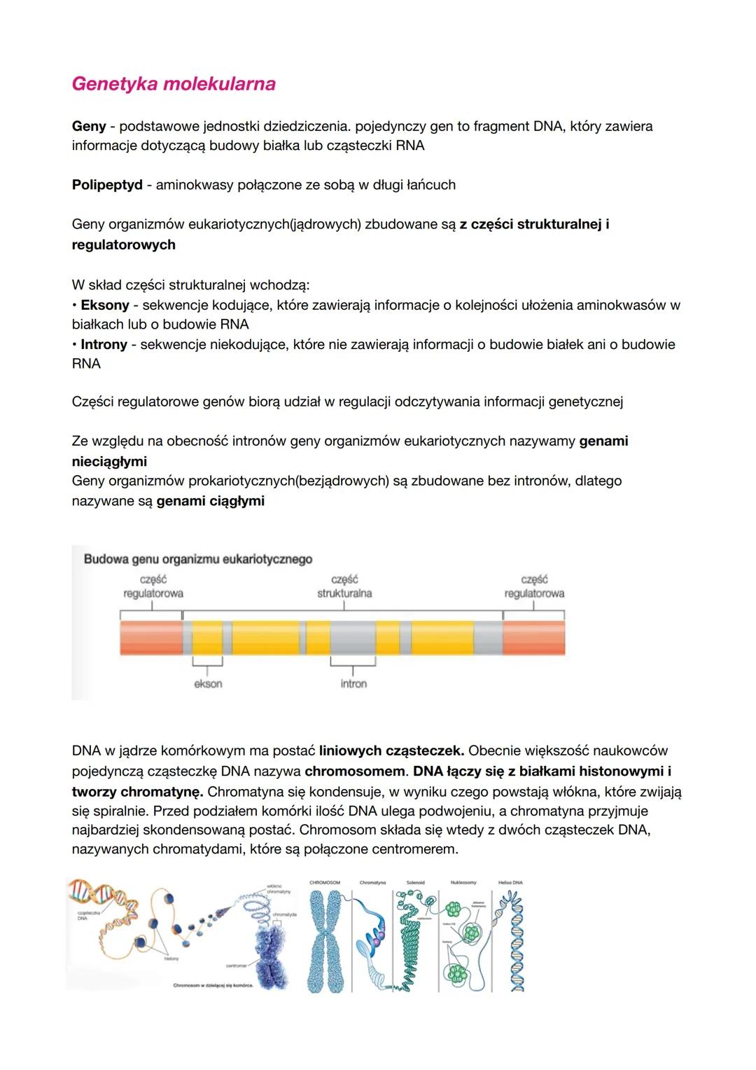 Genetyka molekularna
Geny - podstawowe jednostki dziedziczenia. pojedynczy gen to fragment DNA, który zawiera
informacje dotyczącą budowy bi