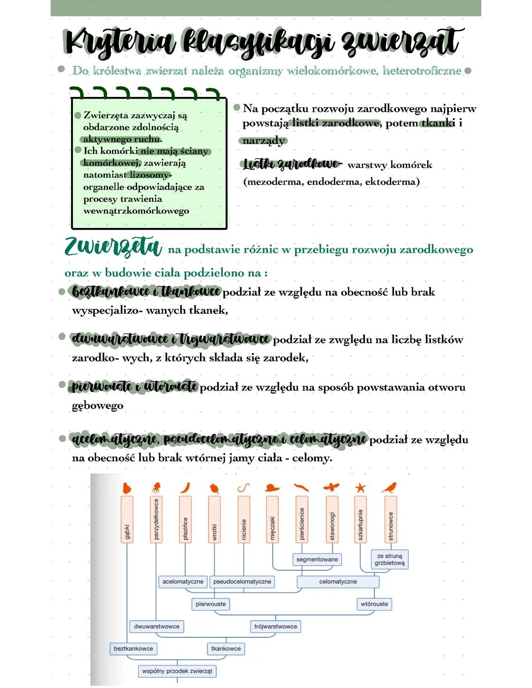 Kryteria klasyfikacji zwierząt biologia klasa 2