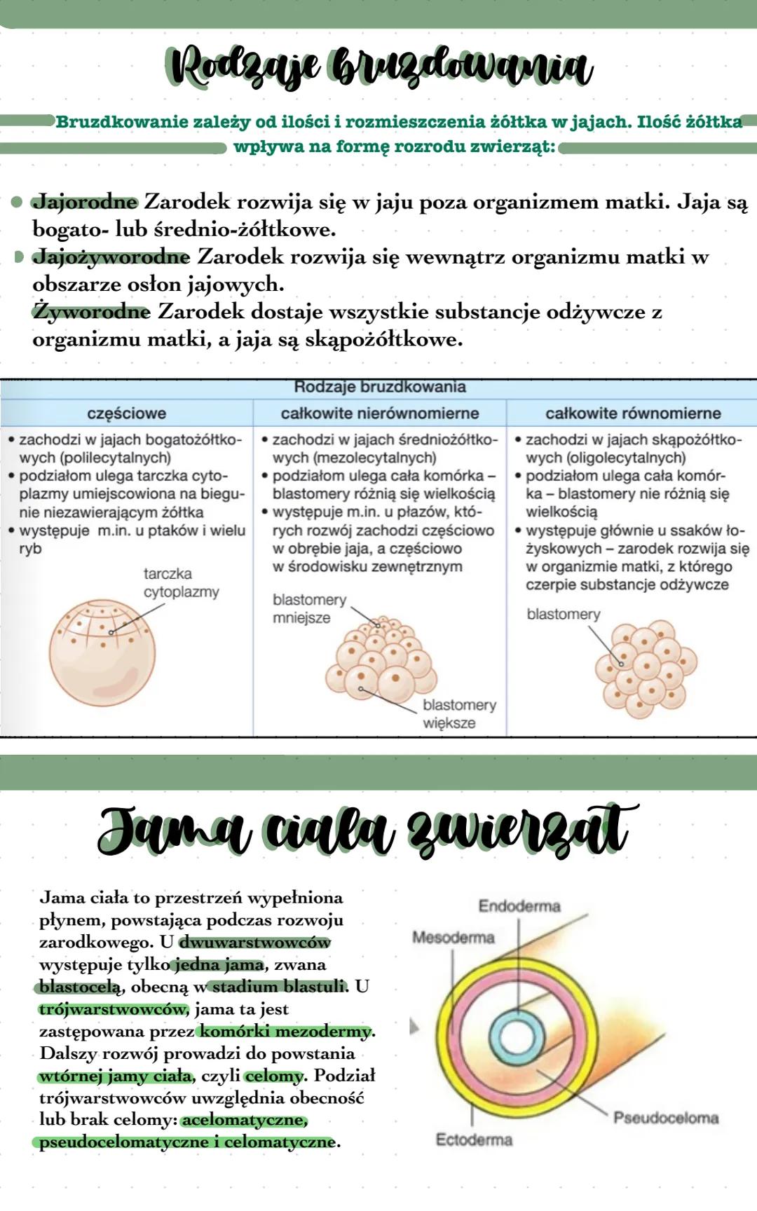 Kryteria klasyfikacji zwierząt
Do królestwa zwierząt należą organizmy wielokomórkowe, heterotroficzne
222
Zwierzęta zazwyczaj są
obdarzone z