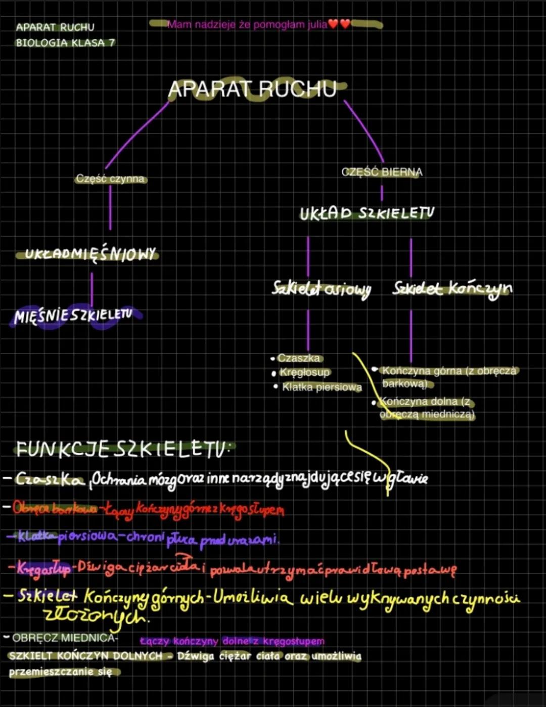 APARAT RUCHU
Mam nadzieje że pomogłam julia
BIOLOGIA KLASA 7
Część czynna
APARAT RUCHU
CZĘŚĆ BIERNA
UKŁAD SZKIELETU
UKŁADMIĘŚNIOWY
MIĘŚNIESZ