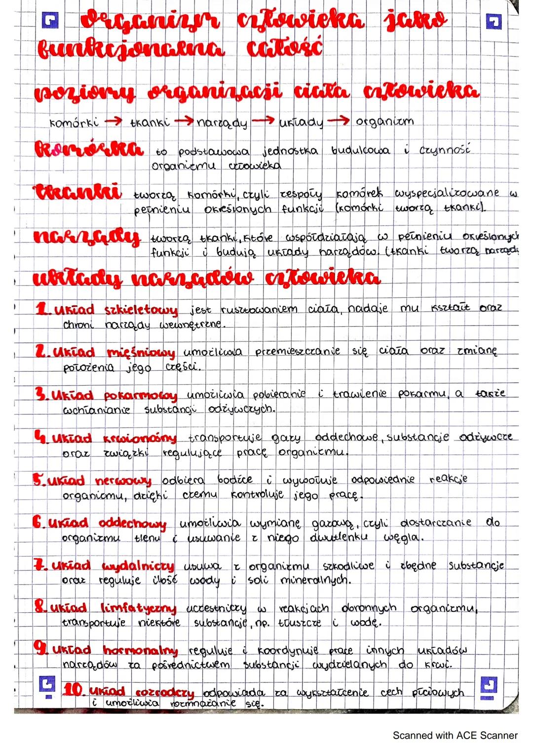 # Organizer człowieka jako
funkcjonalna całość
poziorry organizacsi ciała całowieka
komórki $\rightarrow$ tkanki $\rightarrow$ narządy $\r