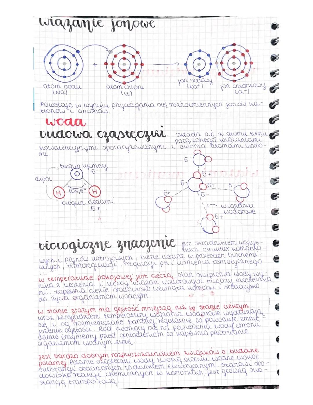 BLU U U U U DU U U U U U U U U U u uu u u
Chemizm
życia
mawrouementy
wapri (cacos, ca²+) jest składnikiem ności i zębów,
jest niezbędny do p