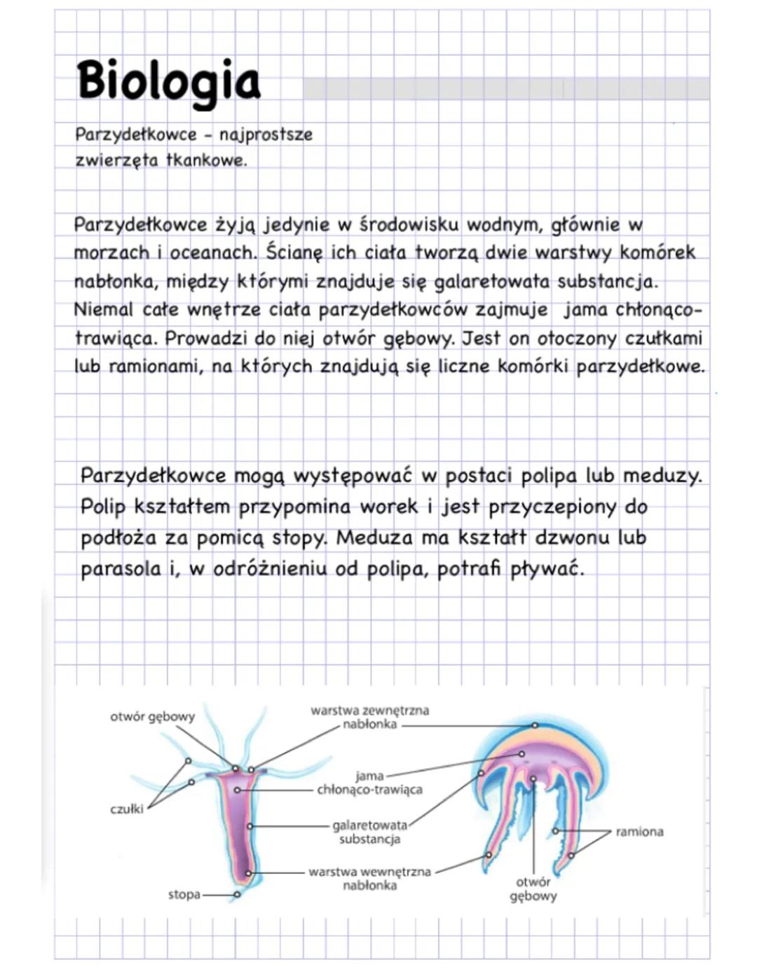 Biologia - Parzydełkowce - najprostsze zwierzęta tkankowe