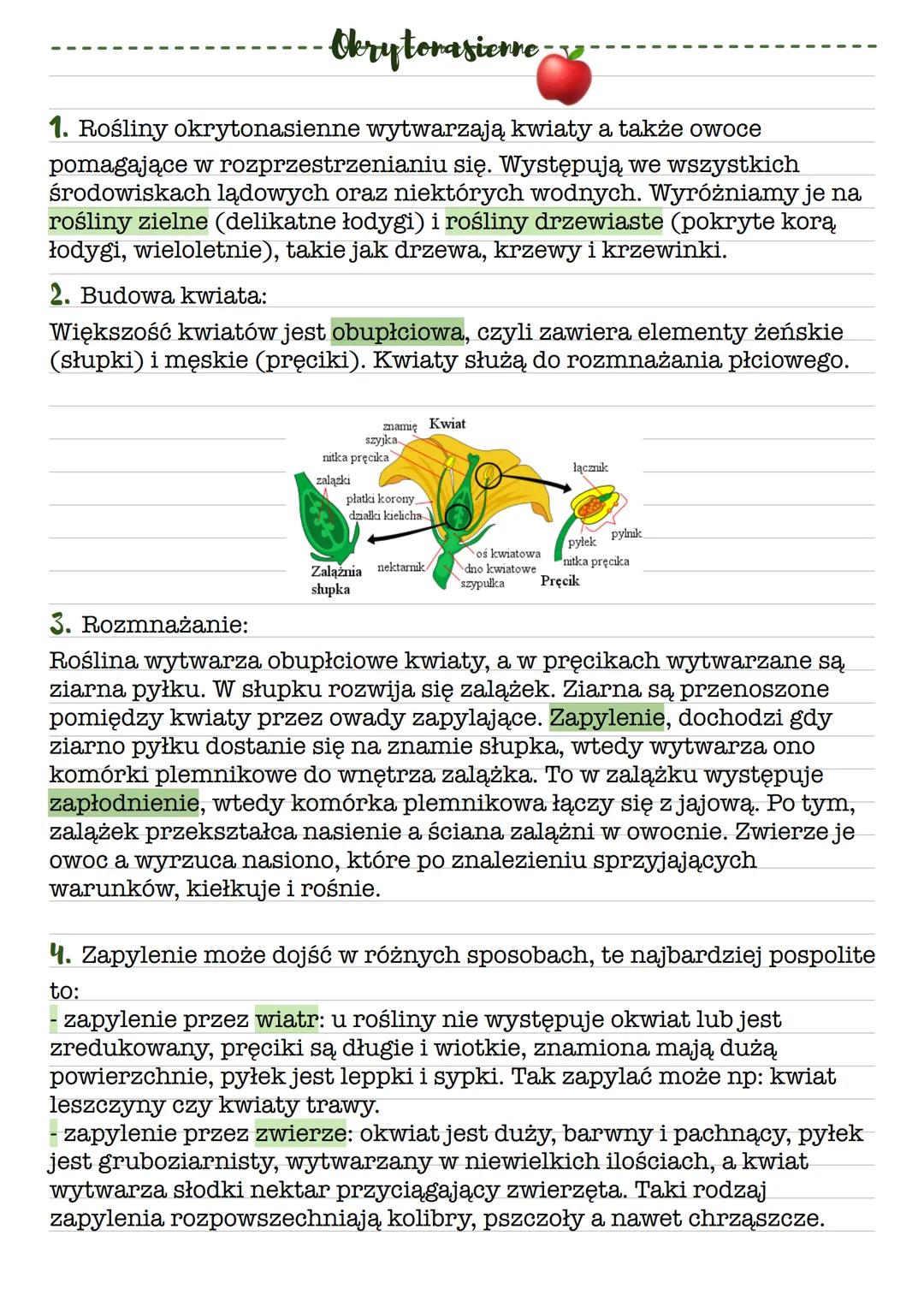 # Okrytorasierre
1. Rośliny okrytonasienne wytwarzają kwiaty a także owoce
pomagające w rozprzestrzenianiu się. Występują we wszystkich
śr
