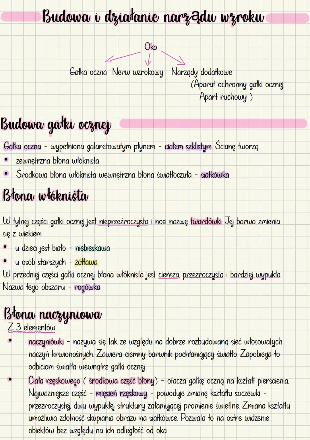 Budowa i działanie narządu wzroku
Око
Gałka oczna Nerw wzrokowy Narządy dodatkowe
(Aparat ochronny gałki ocznej.
Apart ruchowy)
Budowa gałki
