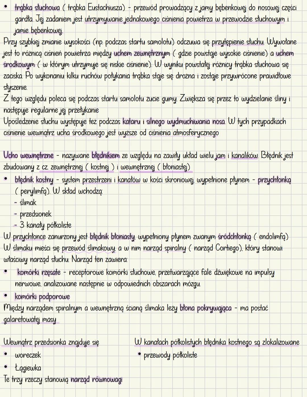 # Ucho - narząd słuchu i równowagi
Mechanoreceptory
* Odpowiedzialne za słuch
* odbierają bodźce mechaniczne w postaci
dr