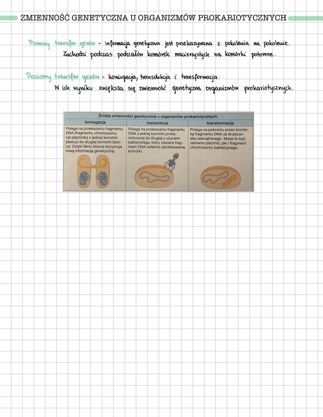 # Rodzaje zmienności
ZMIENNOŚĆ ŚRODOWISKOWA
Zmienność środowiskowa - zróżnicowanie osobników o takim samym genotypie, wynikające z adaptac