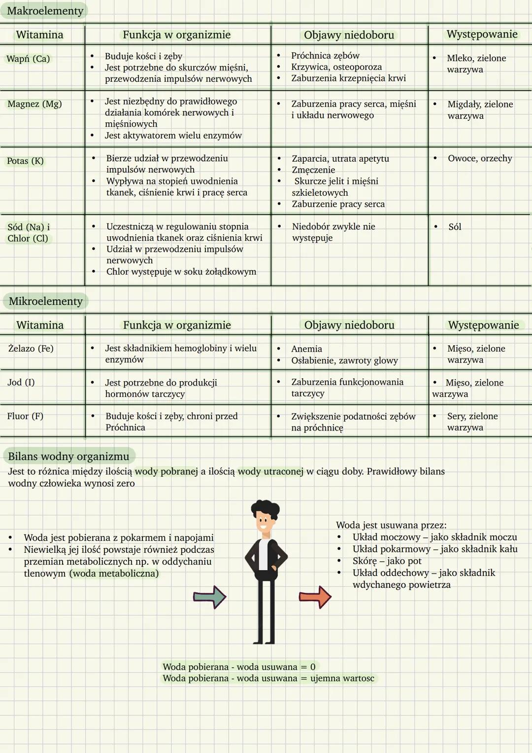 Witaminy
Co to są witaminy?
Witaminy to związki organiczne, których organizm nie wytwarza lub które wytwarza w minimalnej, niewystarczającej