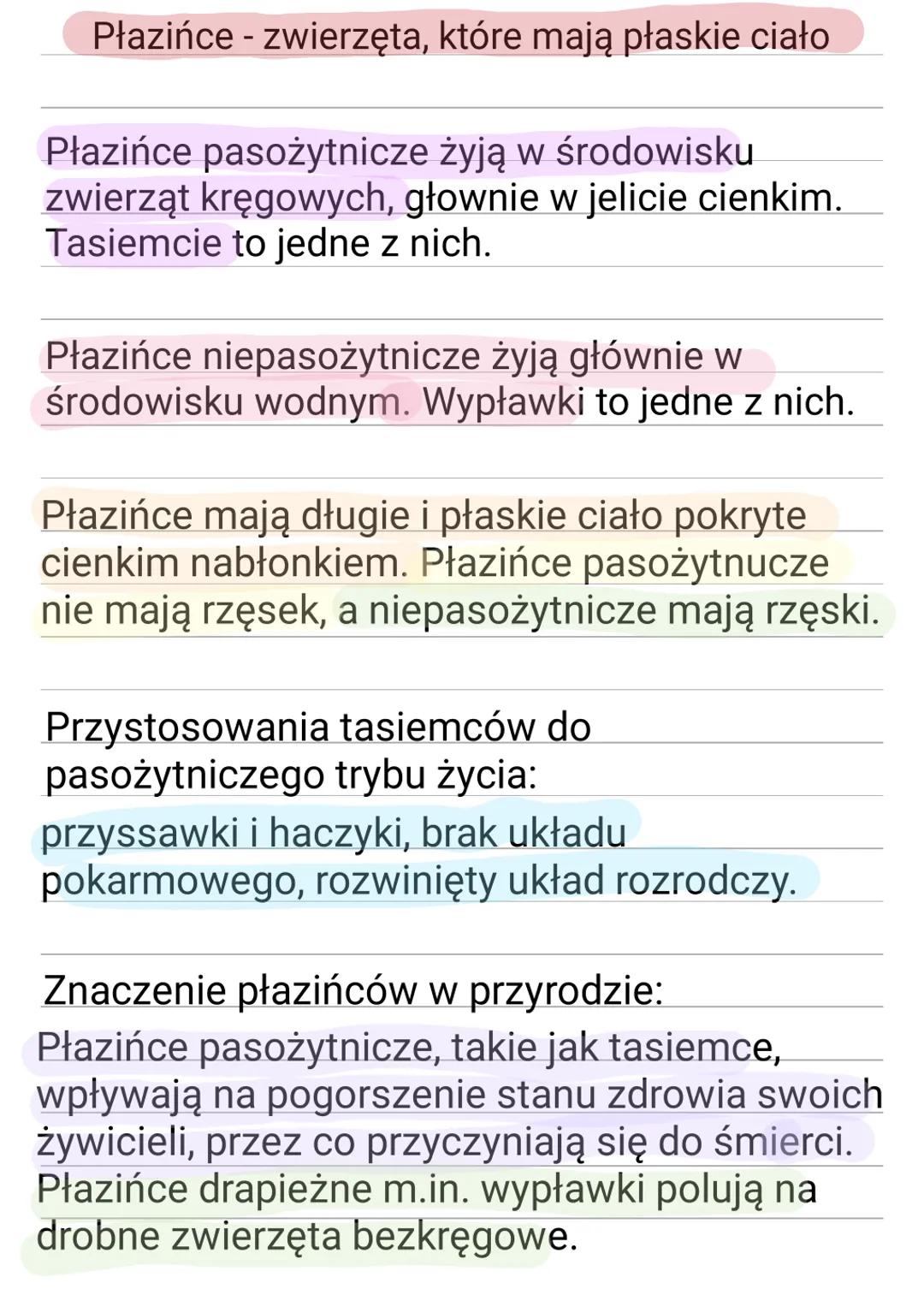 Płazińce - zwierzęta, które mają płaskie ciało
Płazińce pasożytnicze żyją w środowisku
zwierząt kręgowych, głownie w jelicie cienkim.
Tasie