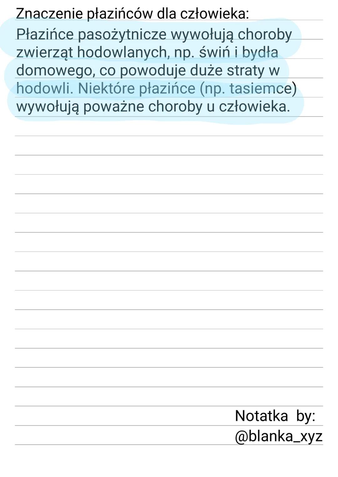 Płazińce - zwierzęta, które mają płaskie ciało
Płazińce pasożytnicze żyją w środowisku
zwierząt kręgowych, głownie w jelicie cienkim.
Tasie