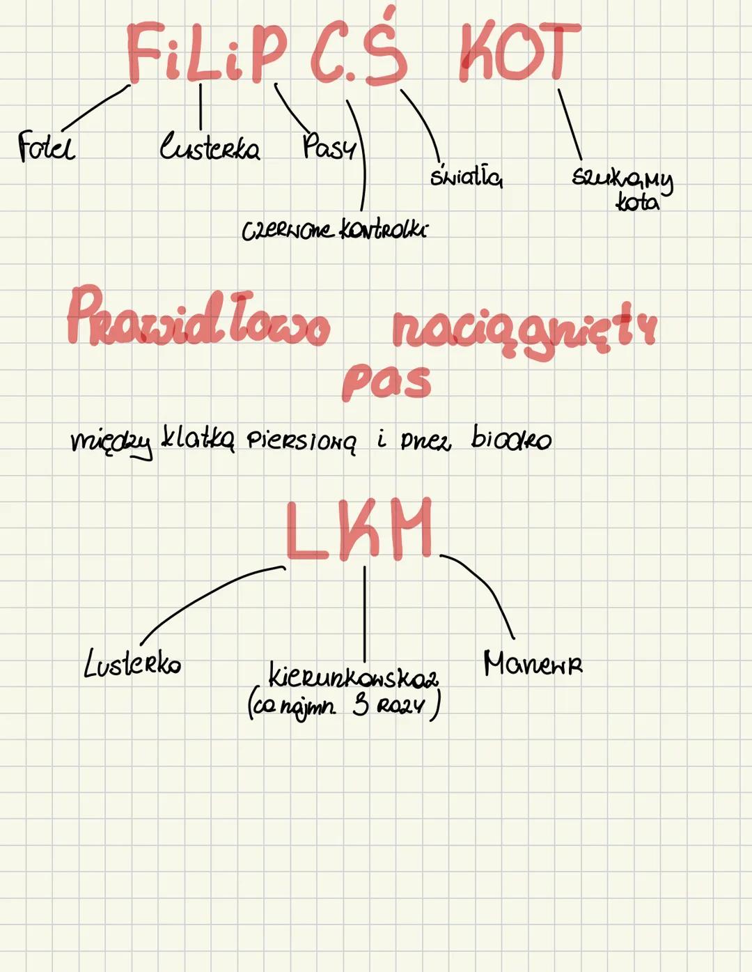 A1 FiLiP C.S KOT
Fotel
lusterka Pasy
Shiatia
Szukamy
kota
CZERNONE KONTROLKI
Prozwid Towo naciągnięty
Pas
między klatką Piersioną i prez