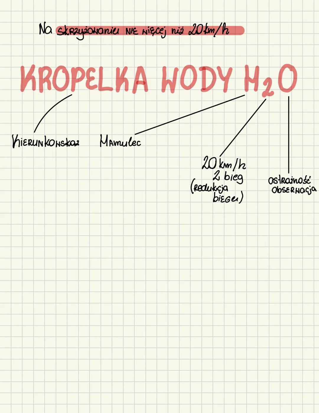 A1 FiLiP C.S KOT
Fotel
lusterka Pasy
Shiatia
Szukamy
kota
CZERNONE KONTROLKI
Prozwid Towo naciągnięty
Pas
między klatką Piersioną i prez