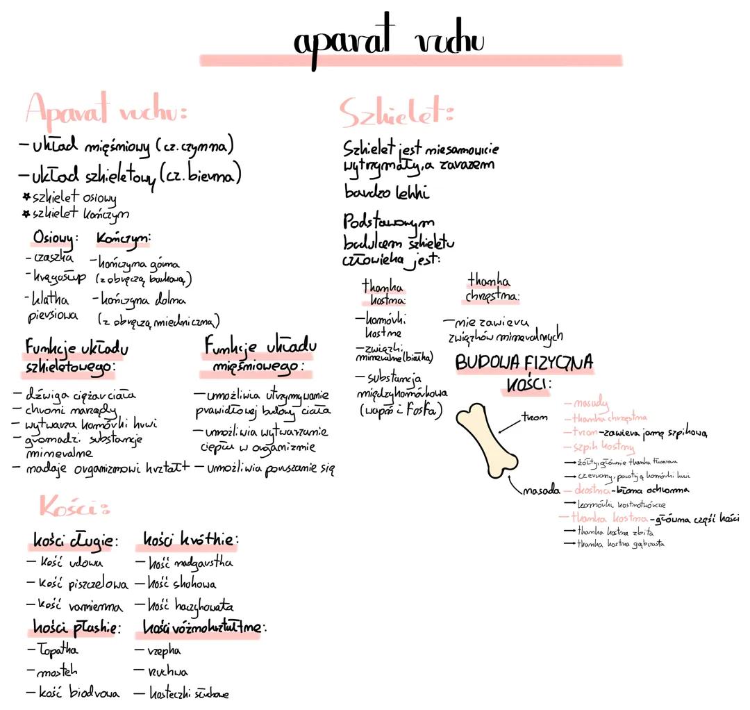 Biologia klasa 7- aparat ruchu