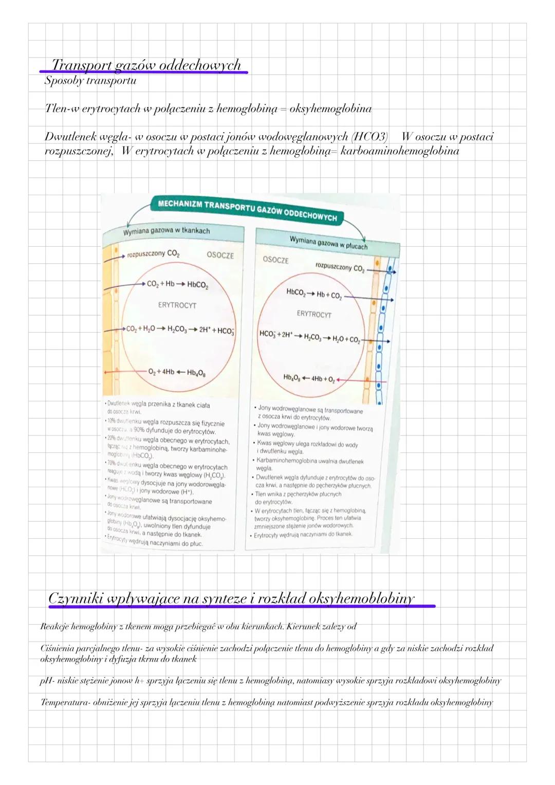 # Układ oddechowy
ptat
krtoń
tchowica
prat
блоакону
oczyszcanie, ogrzewanie i nawilzanie powietrza
laczy się z jama za pomocą nozdrzy tyl