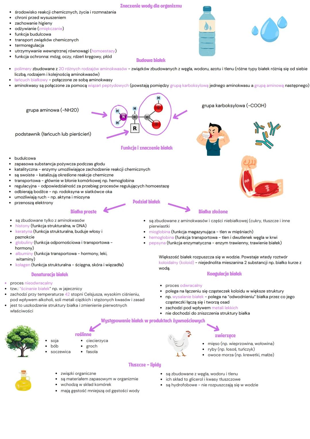Biologia - dział 2
Pierwiastki chemiczne
To podstawowe składniki chemiczne każdego organizmu. Dzielimy je na:
Makroelementy pierwiastki wyst