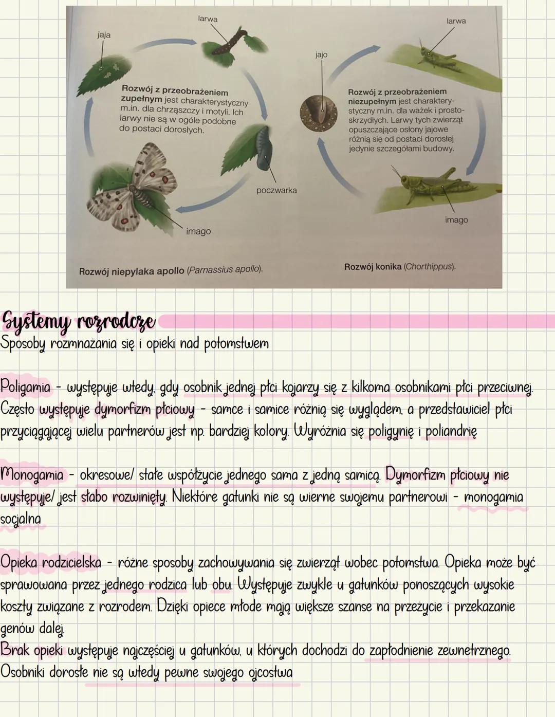 # Rozmnażanie i rozwój u zwierząt
## Rozmnażanie bezpłciowe
- Odbywa się bez udziału gamet
- Nie dochodzi w nim do powstania nowych kombin