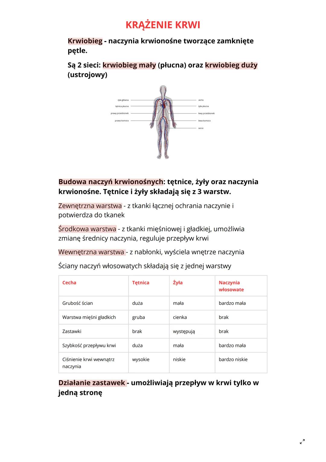 KRĄŻENIE KRWI
Krwiobieg - naczynia krwionośne tworzące zamknięte
pętle.
Są 2 sieci: krwiobieg mały (płucna) oraz krwiobieg duży
(ustrojowy)