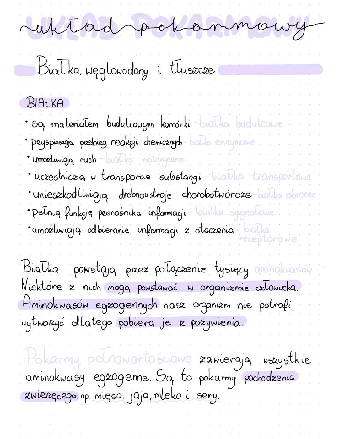 Układ pokarmowy klasa 7-notatka