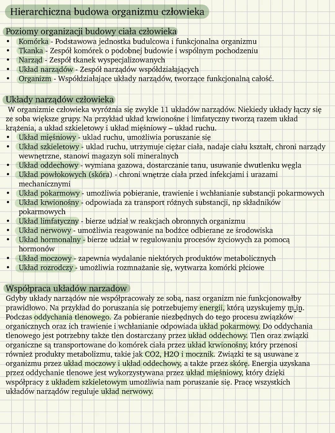 Hierarchiczna budowa organizmu człowieka