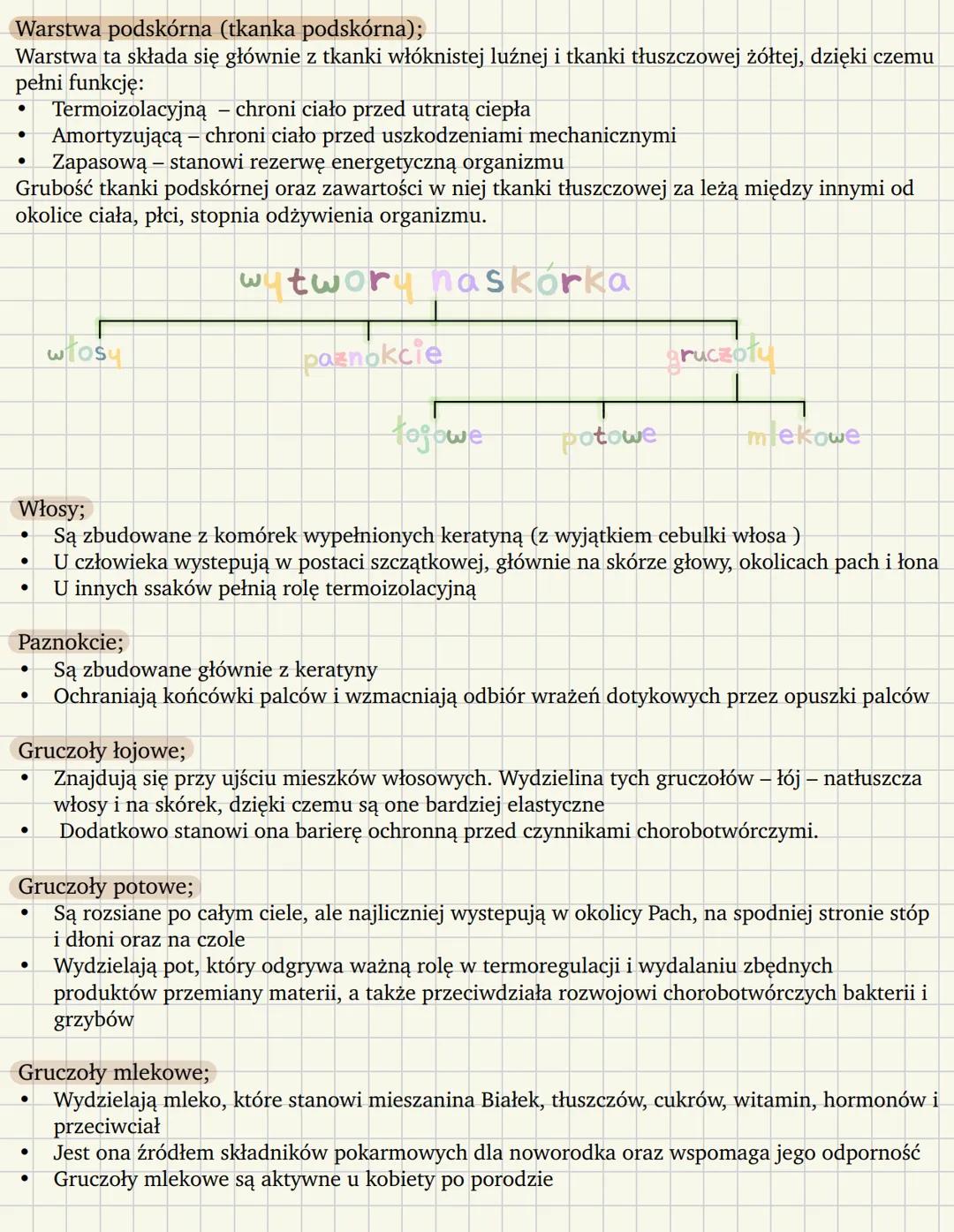 # Budowa i funkcje skóry
Skóra jest największym narządem naszego ciała!
u dorosłego człowieka stanowi około 15% masy ciała
Ma powierzchnie