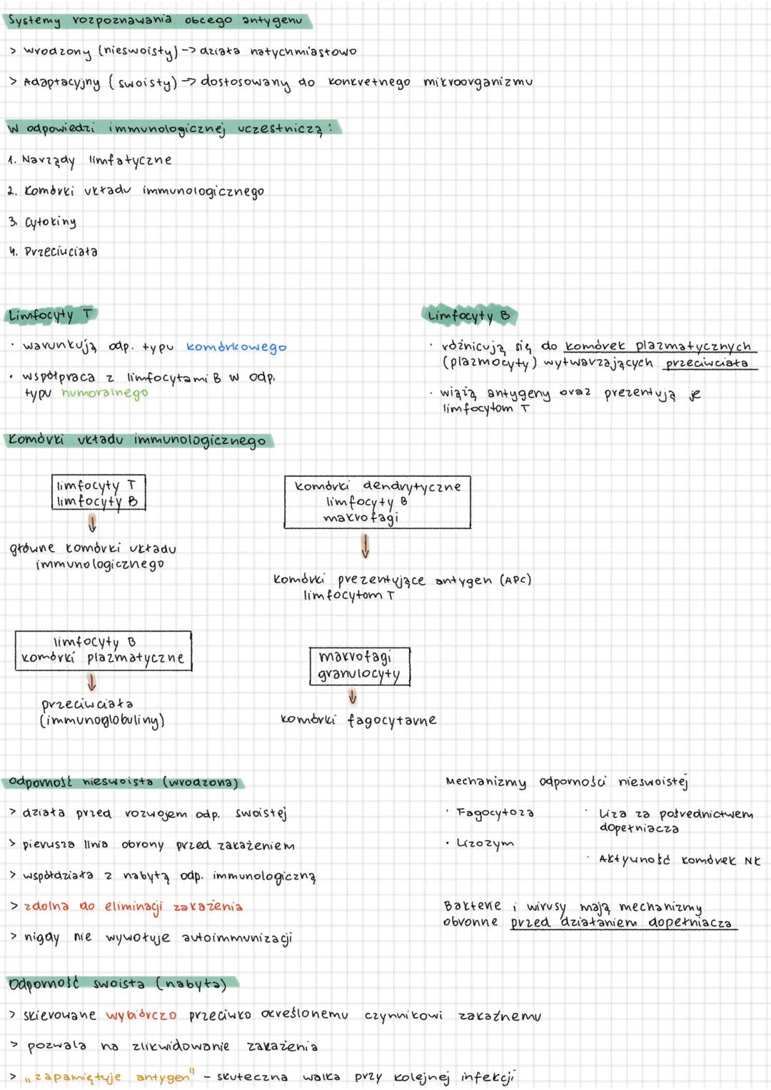 BAKTERIE BEZTLENOWE
rodzaj: Bacterioides
Propionbacterium.
PeptostreptocoCCUS
BAKTERIE - przykłady
ZIARENKOWCE
a) Gram-dodatnie
rodzaj: