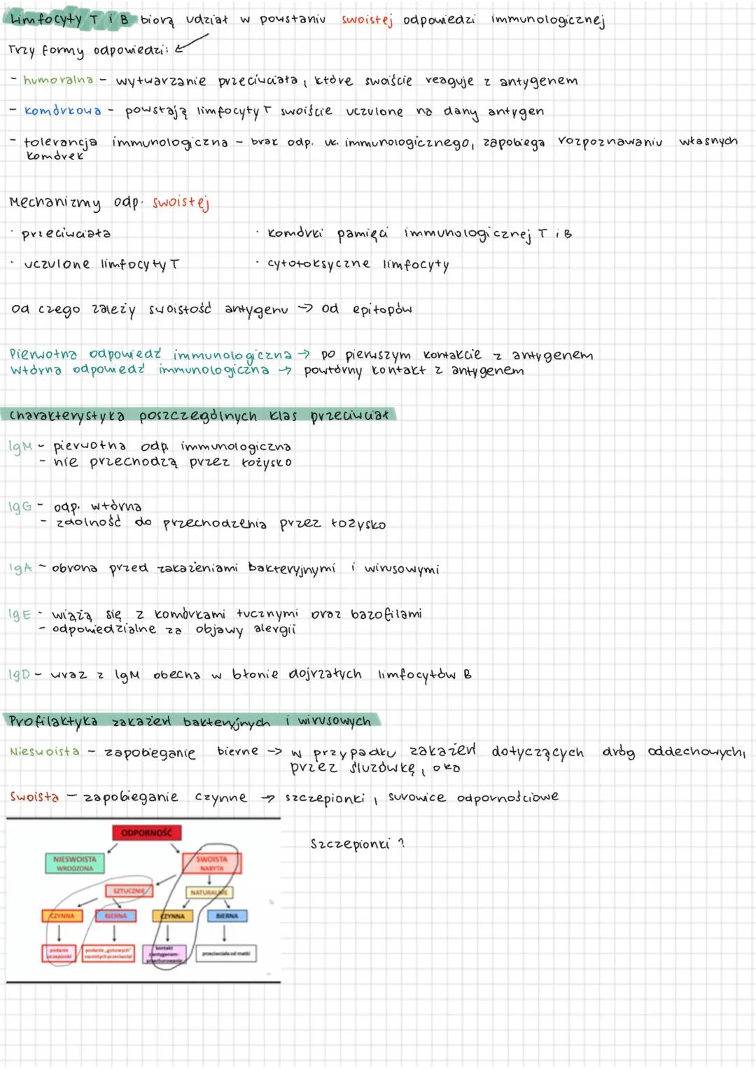 BAKTERIE BEZTLENOWE
rodzaj: Bacterioides
Propionbacterium.
PeptostreptocoCCUS
BAKTERIE - przykłady
ZIARENKOWCE
a) Gram-dodatnie
rodzaj: