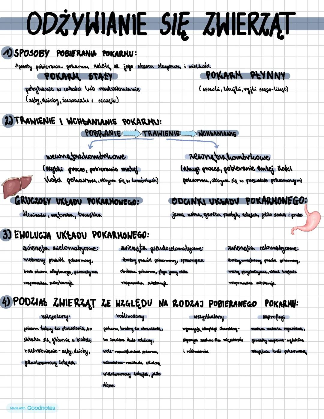 Odżywianie się zwierząt