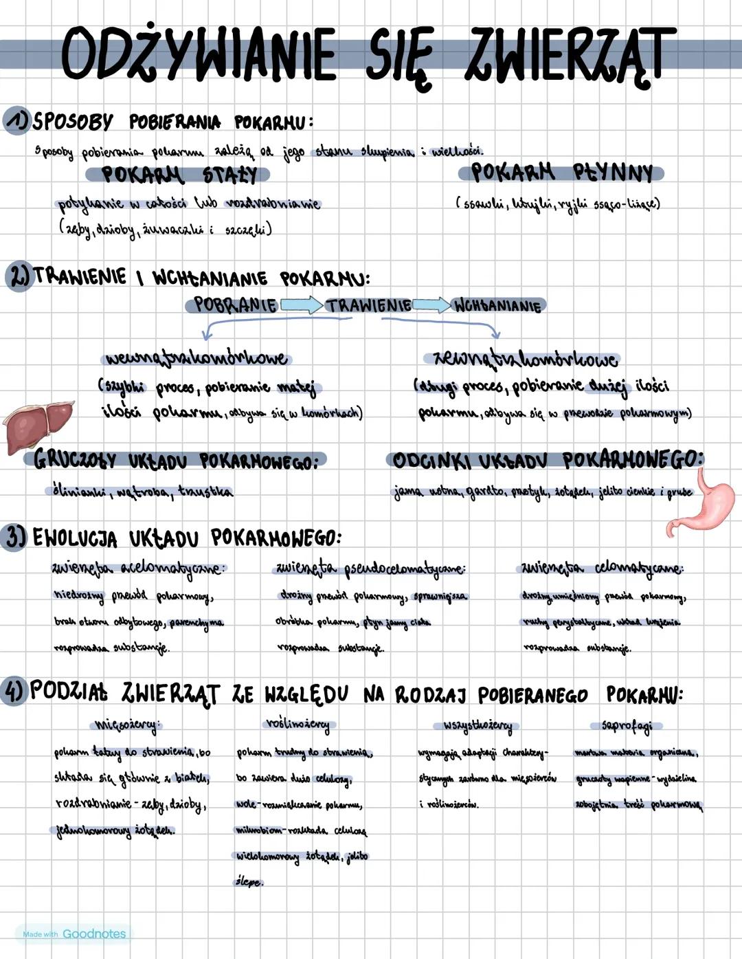 ODŻYWIANIE SIĘ ZWIERZĄT
1) SPOSOBY POBIERANIA POKARMU:
Sposoby pobierania polarum zależą od jego stanu skupienia i wielkości.
POKARM STAŁY
p