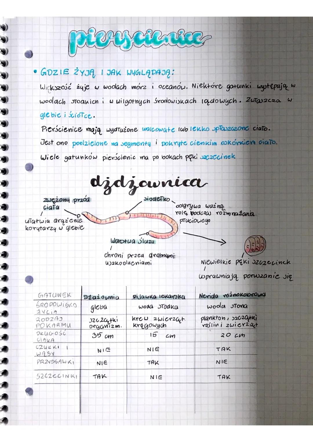 # pierscianice
• GOZIE ŻYJĄ I JAK WYGLĄDAJĄ:
Większość żyje w wodach mórz i oceanów. Niektóre gatunki występują w
wodach stoakich i w wilgo