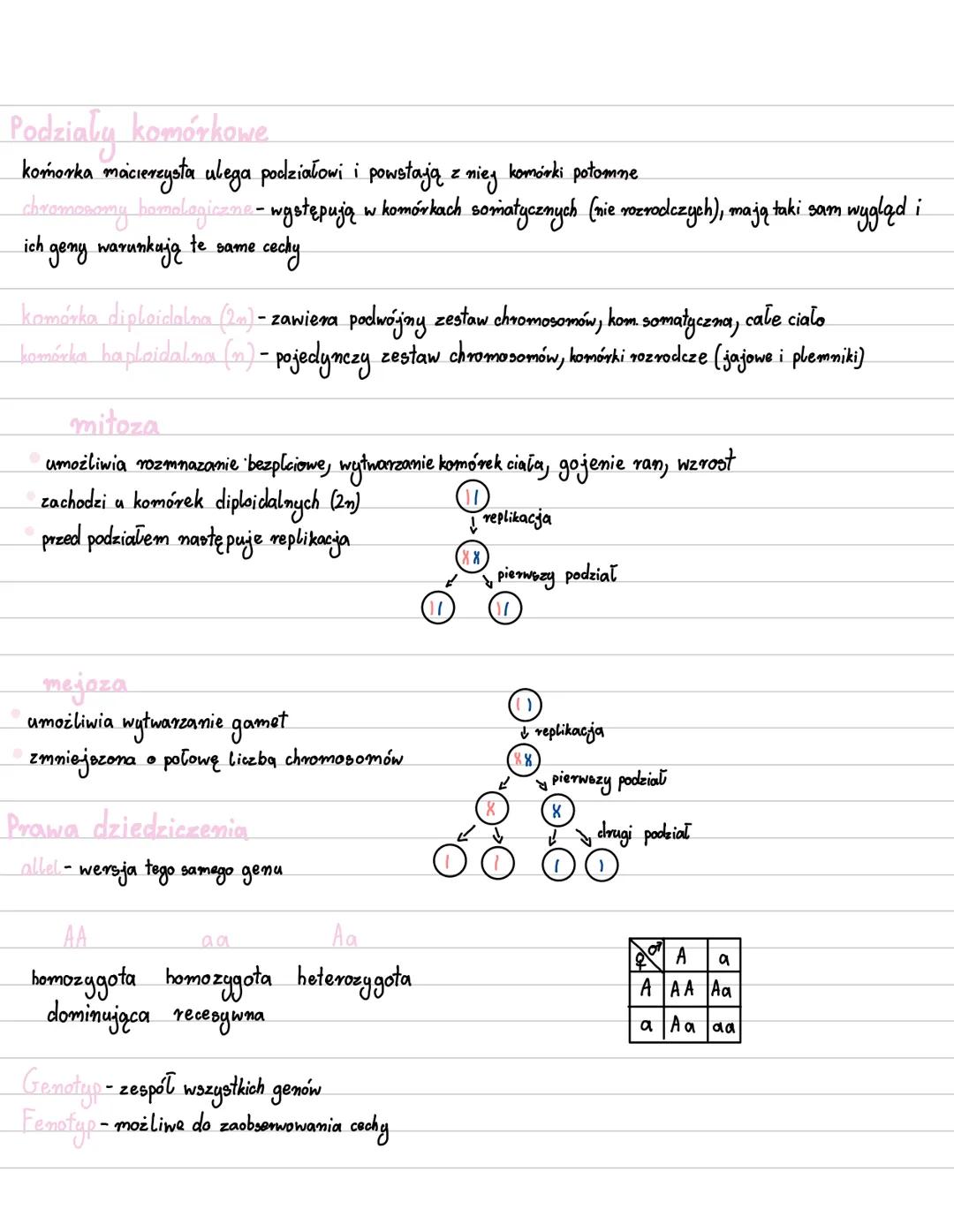 Genetyka
Genetyka- nauka zajmująca się dziedziczeniem cech oraz
Cechy
dziedziczne (kolor skóry, oczu, rysy twarzy)
z zmiennością organizmów