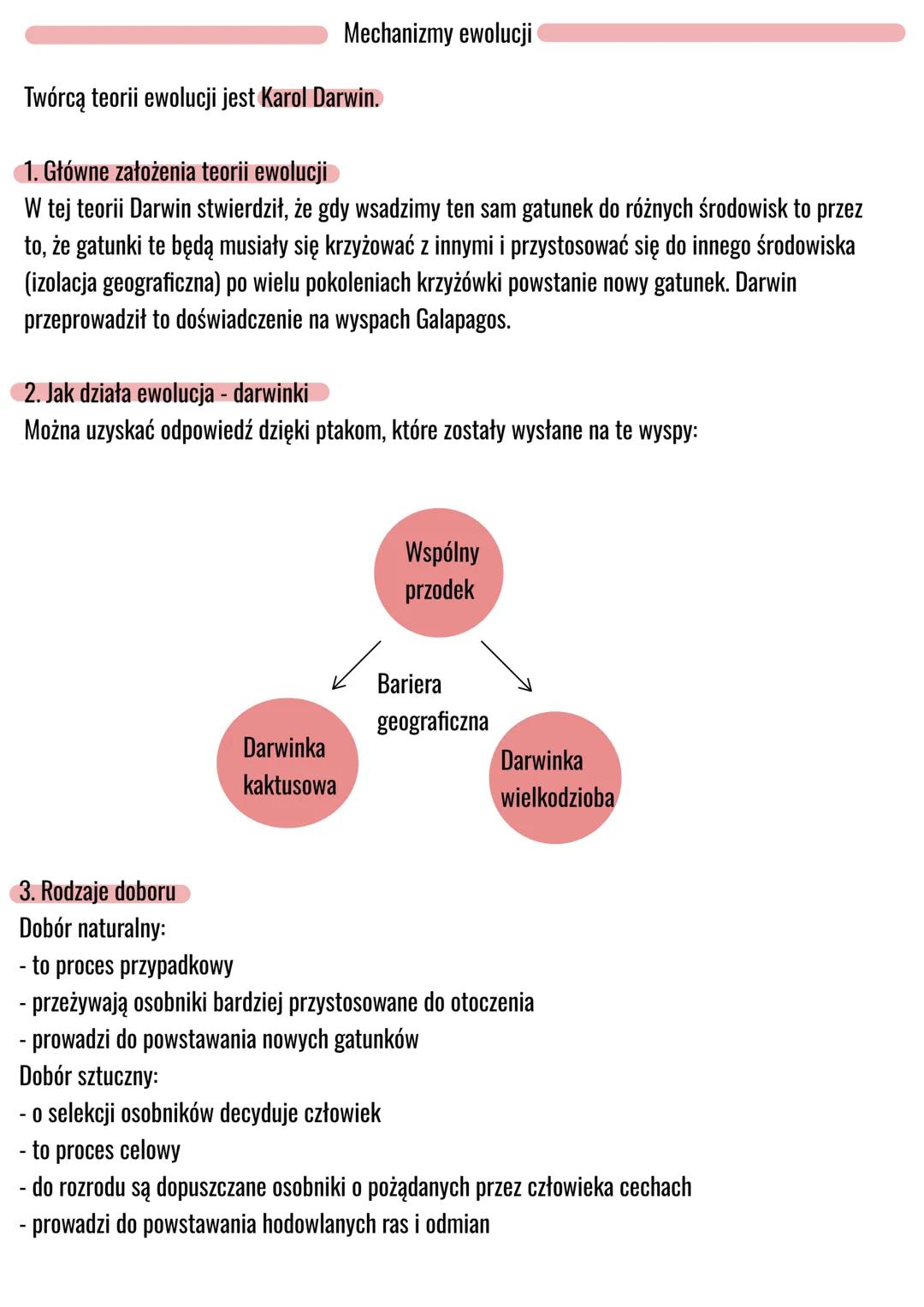 Mechanizmy ewolucji
Twórcą teorii ewolucji jest Karol Darwin.
1. Główne założenia teorii ewolucji
W tej teorii Darwin stwierdził, że gdy wsa