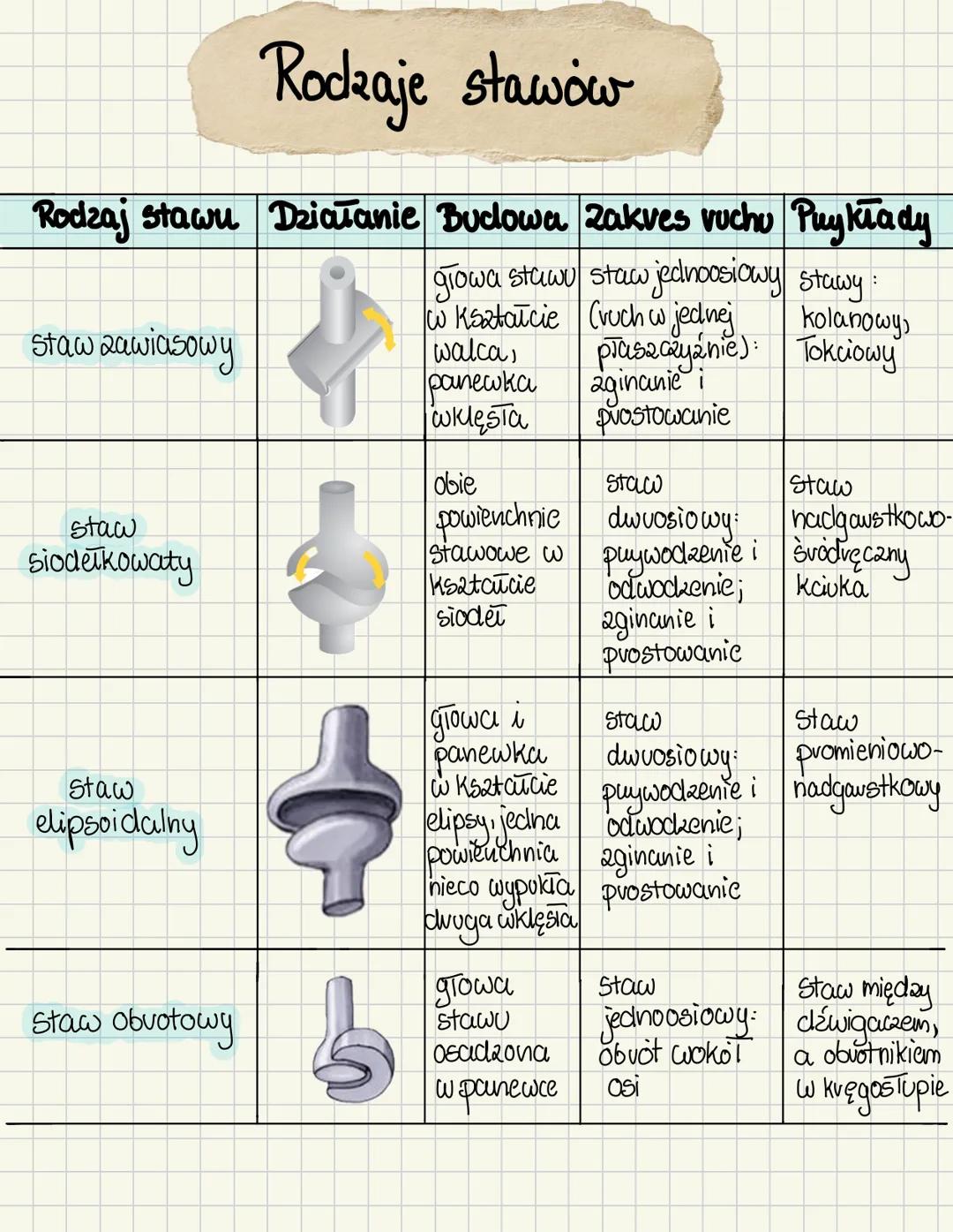 # UKŁAD RUCHU
Ruch u zwierząt
| Ruch neskowy | Ruch mięśniowy |
| ----------- | ----------- |
| • vuch nesek i wici | • skurcze Komovek n
