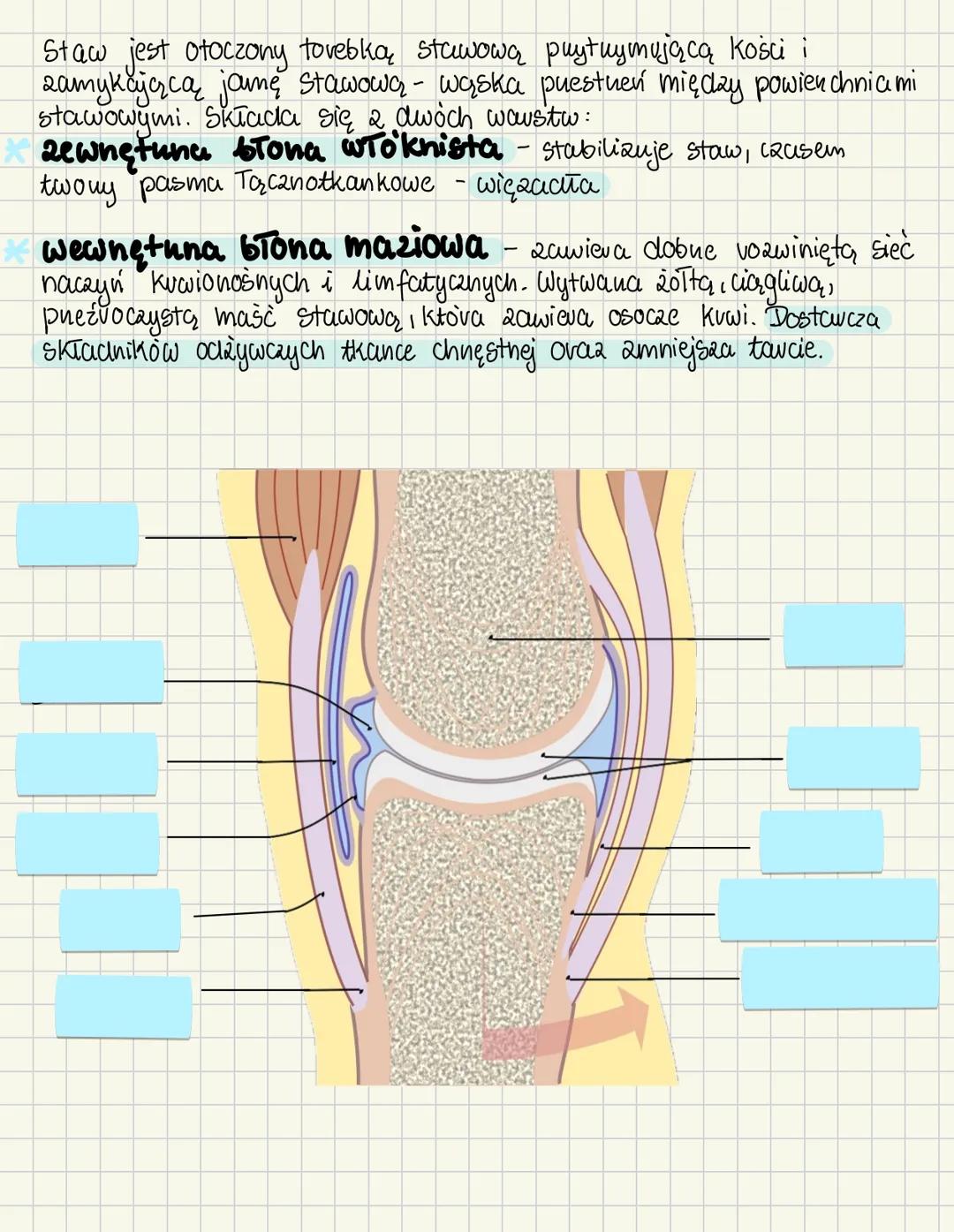 # UKŁAD RUCHU
Ruch u zwierząt
| Ruch neskowy | Ruch mięśniowy |
| ----------- | ----------- |
| • vuch nesek i wici | • skurcze Komovek n